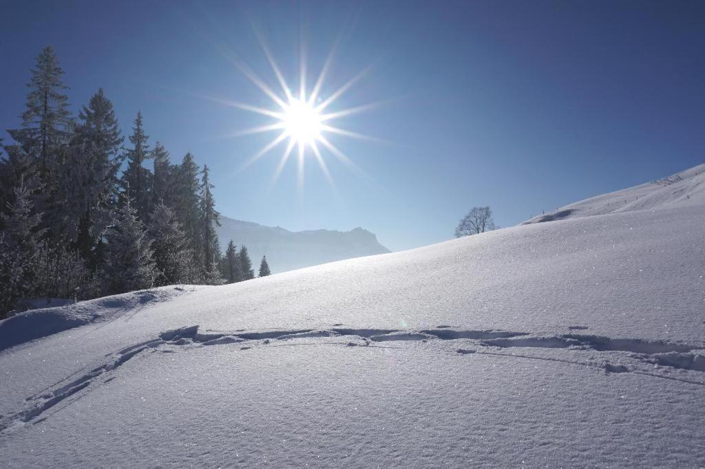 Gasthof Zum Gruenen Baum Verano Bagian luar foto