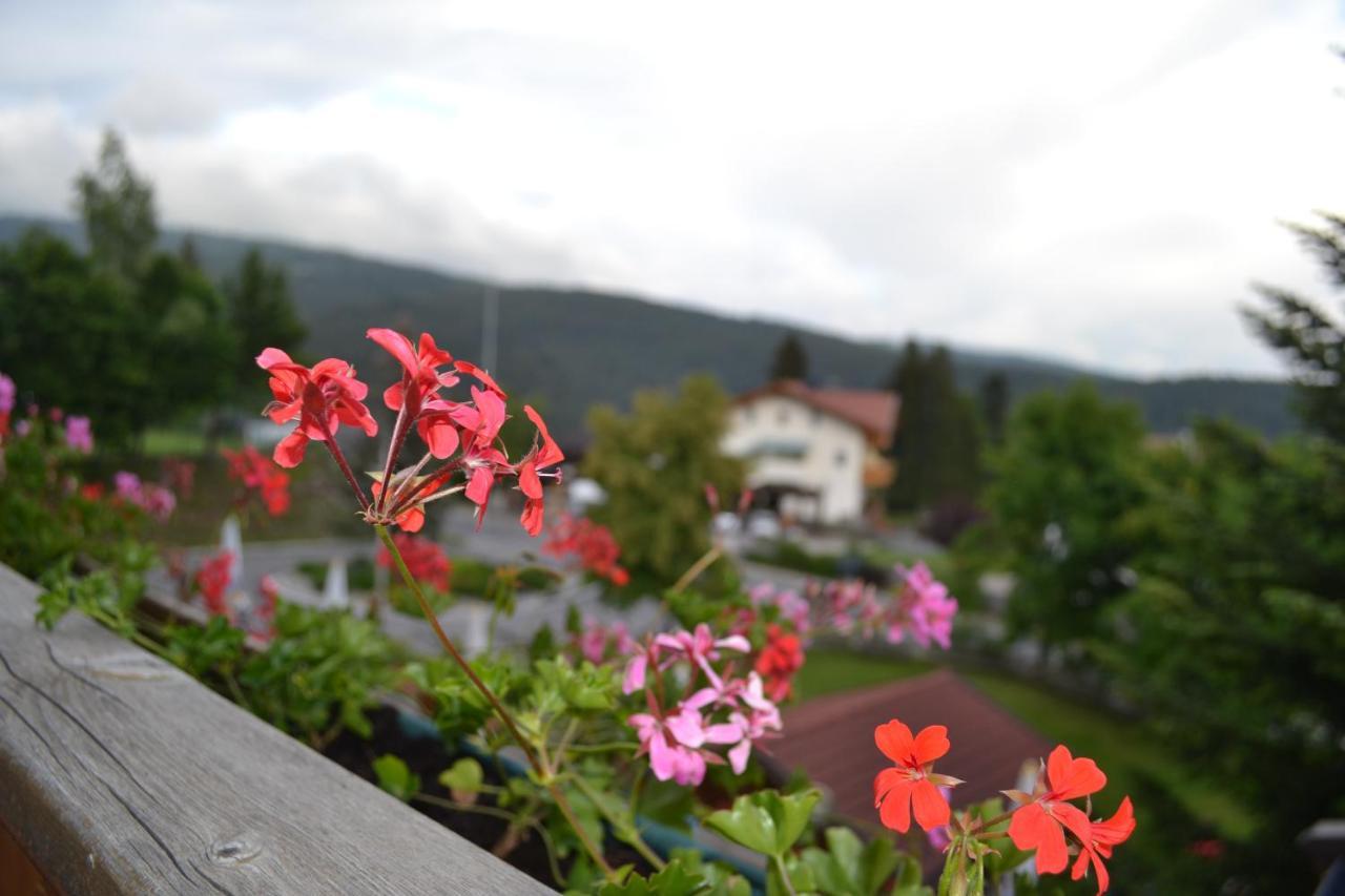 Gasthof Zum Gruenen Baum Verano Bagian luar foto