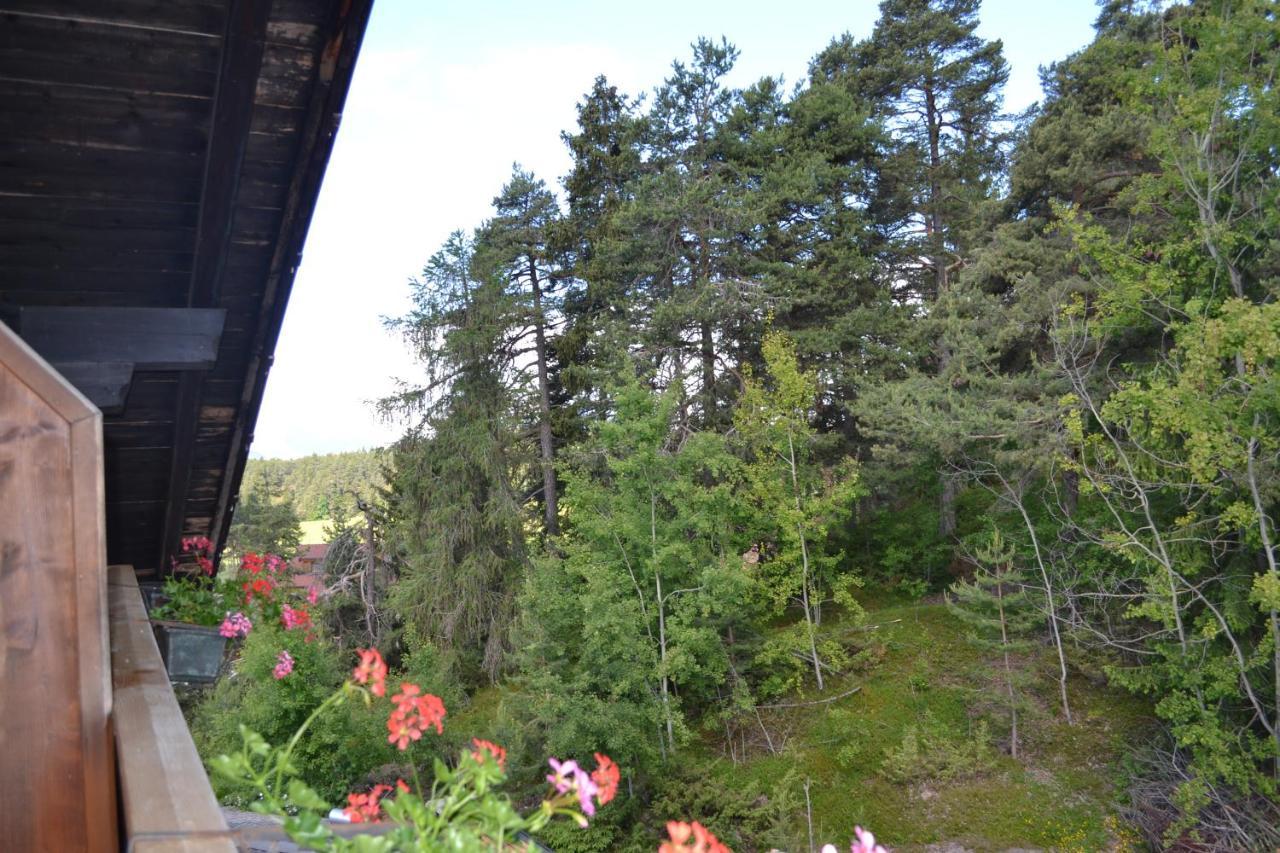 Gasthof Zum Gruenen Baum Verano Bagian luar foto