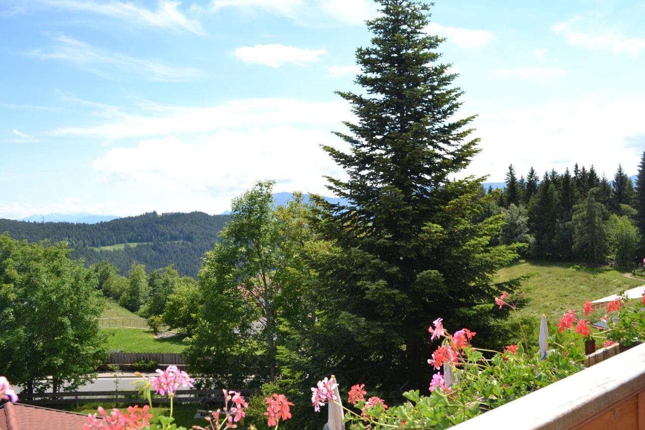 Gasthof Zum Gruenen Baum Verano Bagian luar foto